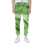Green Cabbage Leaf Print Scuba Joggers