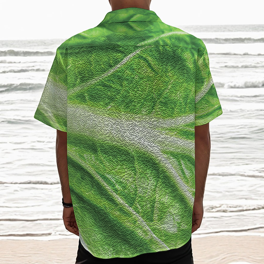 Green Cabbage Leaf Print Textured Short Sleeve Shirt
