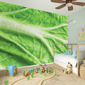 Green Cabbage Leaf Print Wall Sticker