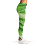 Green Cabbage Leaf Print Women's Leggings