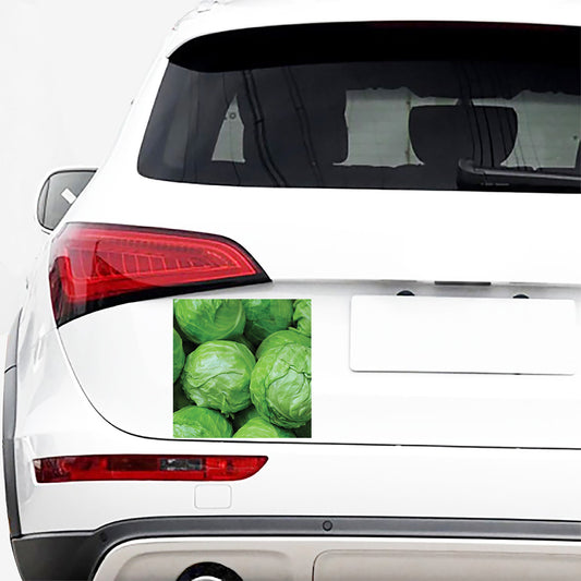 Green Cabbage Print Car Sticker