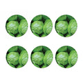 Green Cabbage Print Coaster Set