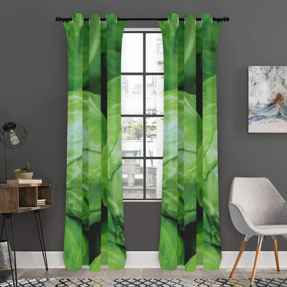 Green Cabbage Print Curtain