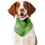 Green Cabbage Print Dog Bandana