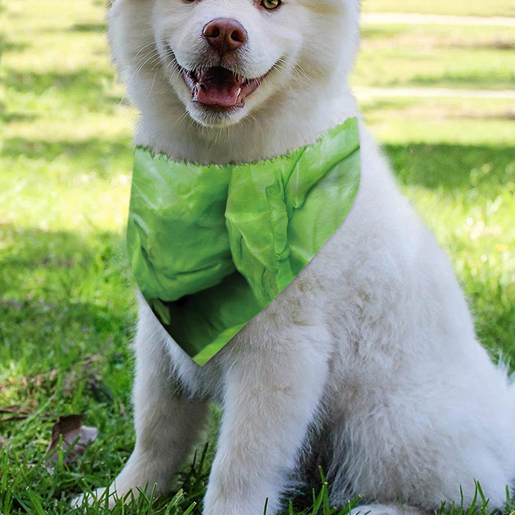 Green Cabbage Print Over The Collar Dog Bandana