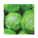 Green Cabbage Print Silk Bandana