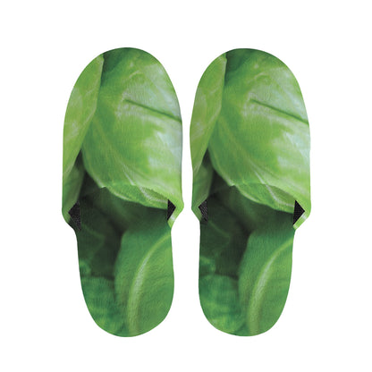 Green Cabbage Print Slippers