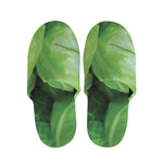 Green Cabbage Print Slippers