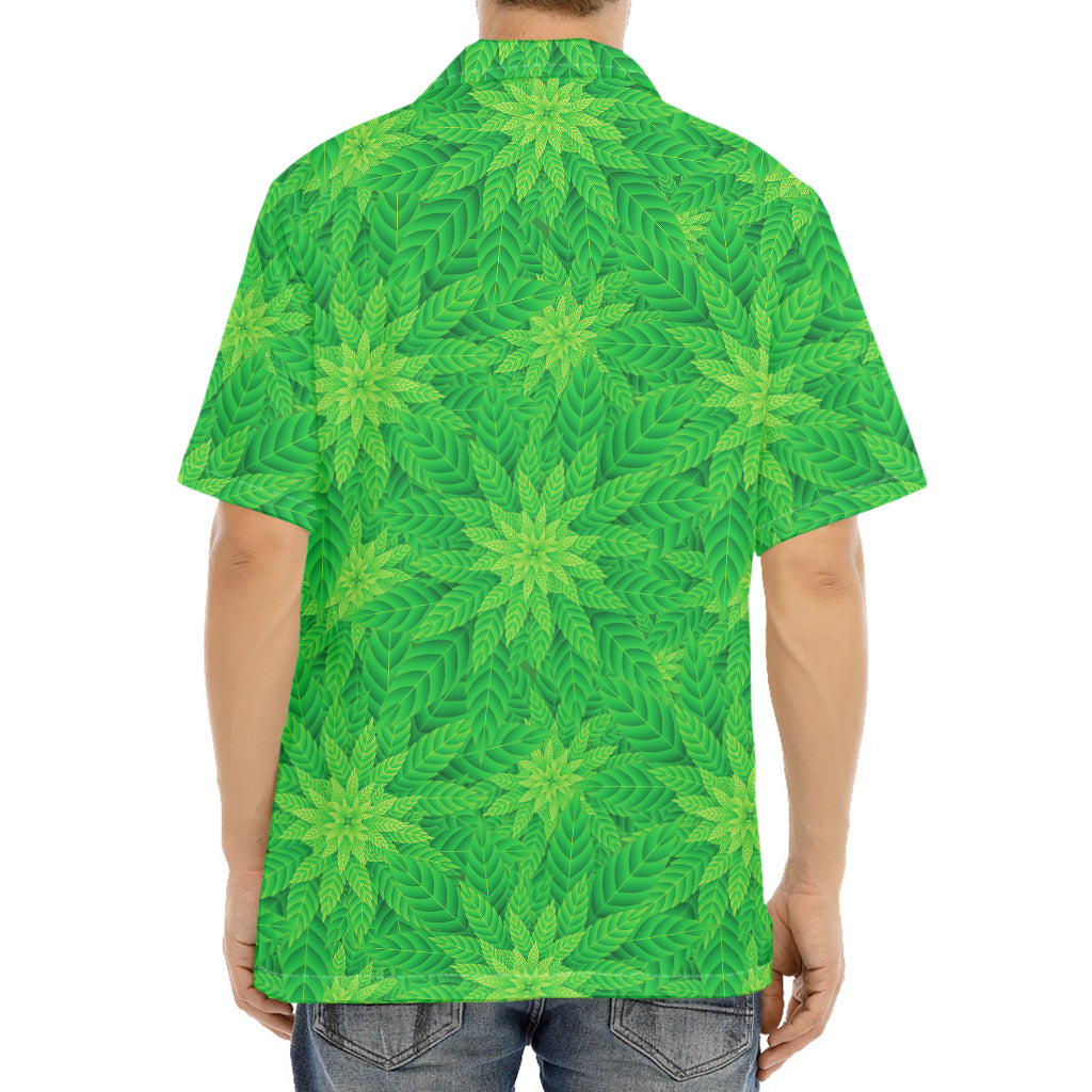 Green Cannabis Leaf Pattern Print Aloha Shirt