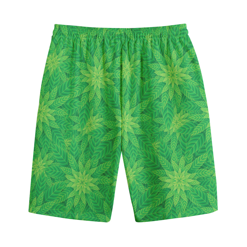 Green Cannabis Leaf Pattern Print Cotton Shorts