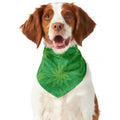 Green Cannabis Leaf Pattern Print Dog Bandana