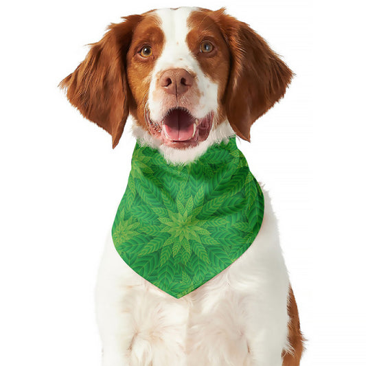 Green Cannabis Leaf Pattern Print Dog Bandana