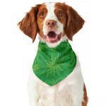 Green Cannabis Leaf Pattern Print Dog Bandana