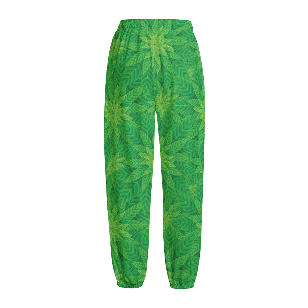 Green Cannabis Leaf Pattern Print Fleece Lined Knit Pants