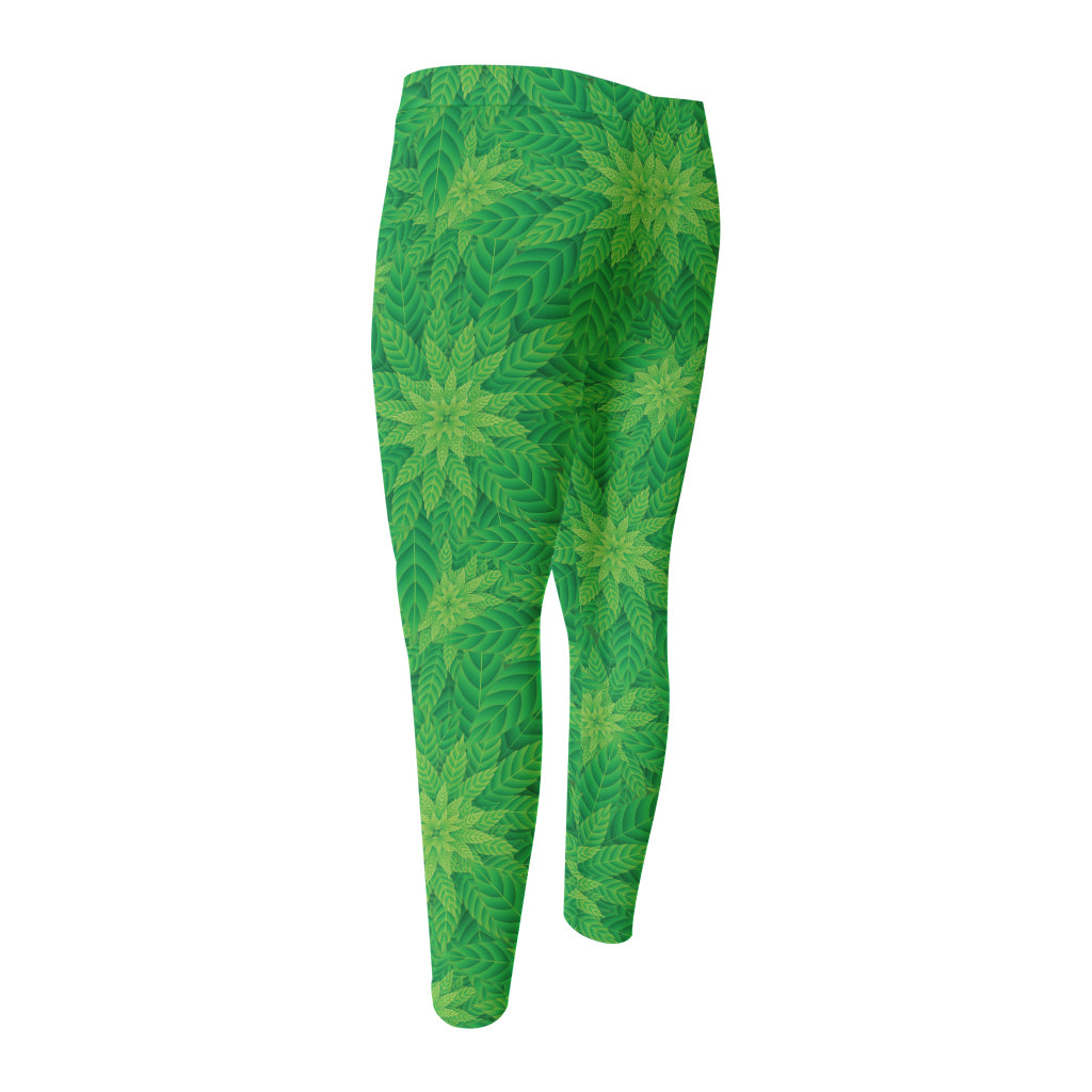 Green Cannabis Leaf Pattern Print Men's Compression Pants