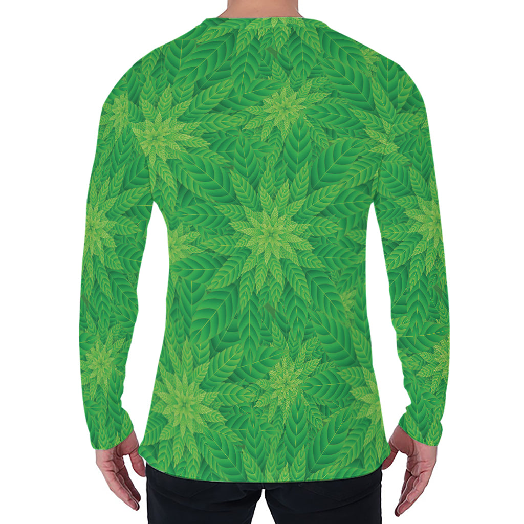 Green Cannabis Leaf Pattern Print Men's Long Sleeve T-Shirt