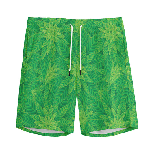 Green Cannabis Leaf Pattern Print Men's Sports Shorts