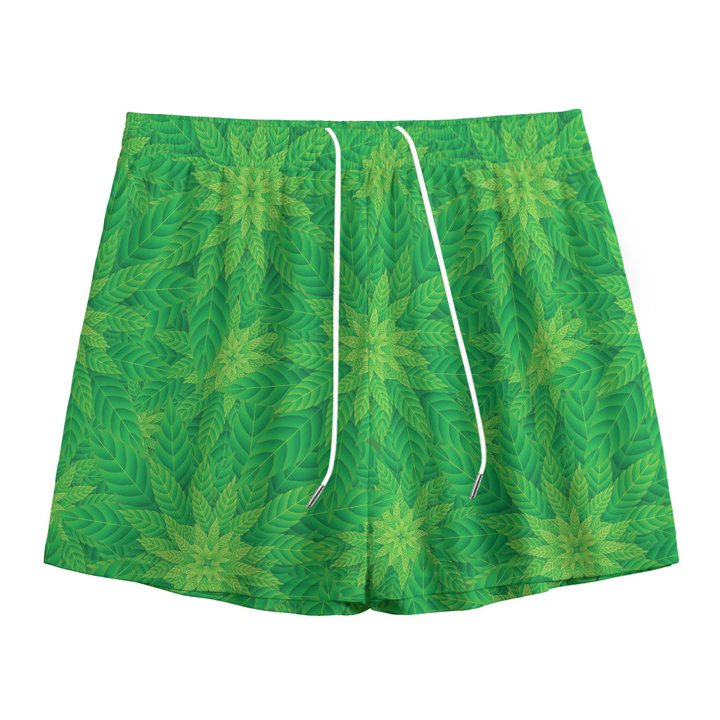 Green Cannabis Leaf Pattern Print Mesh Shorts