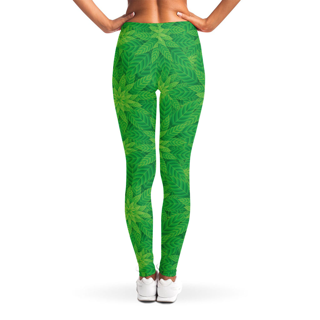 Green Cannabis Leaf Pattern Print Women's Leggings