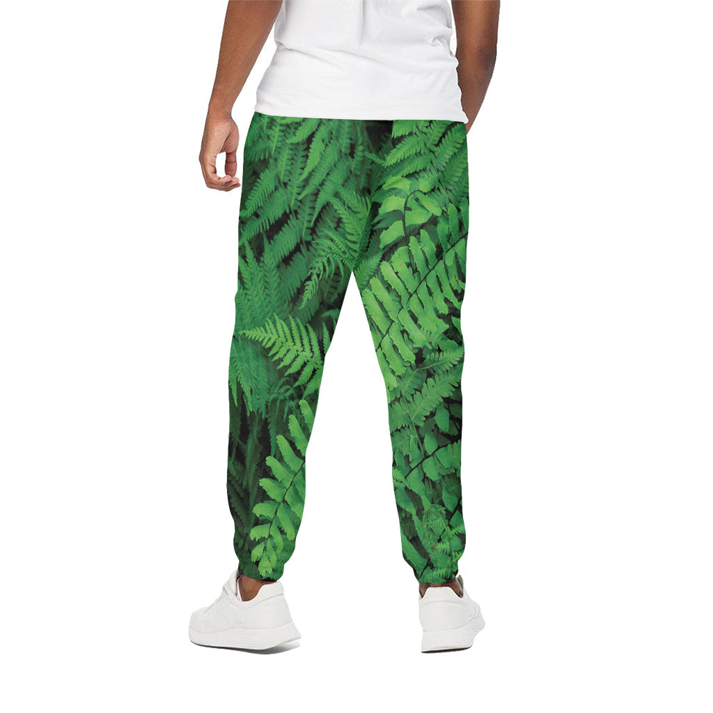 Green Fern Leaf Print Cotton Pants