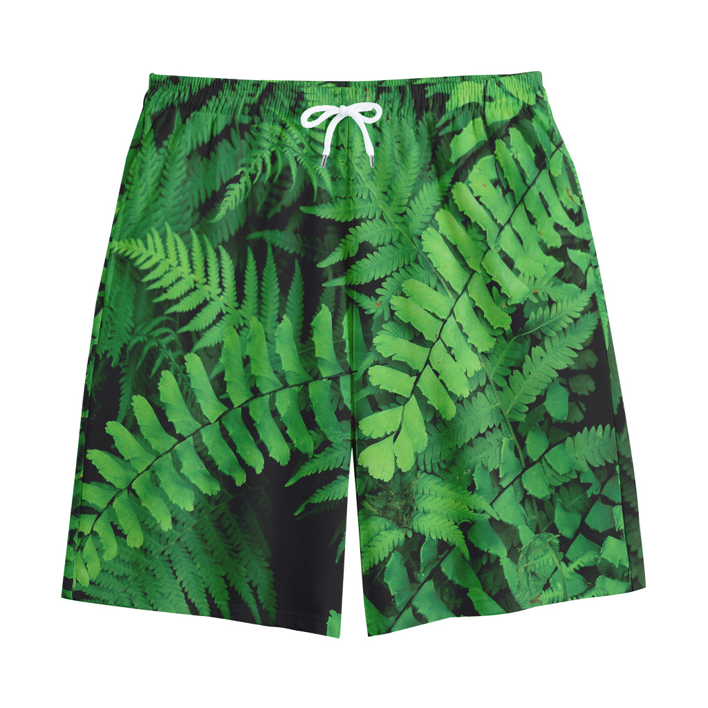 Green Fern Leaf Print Cotton Shorts