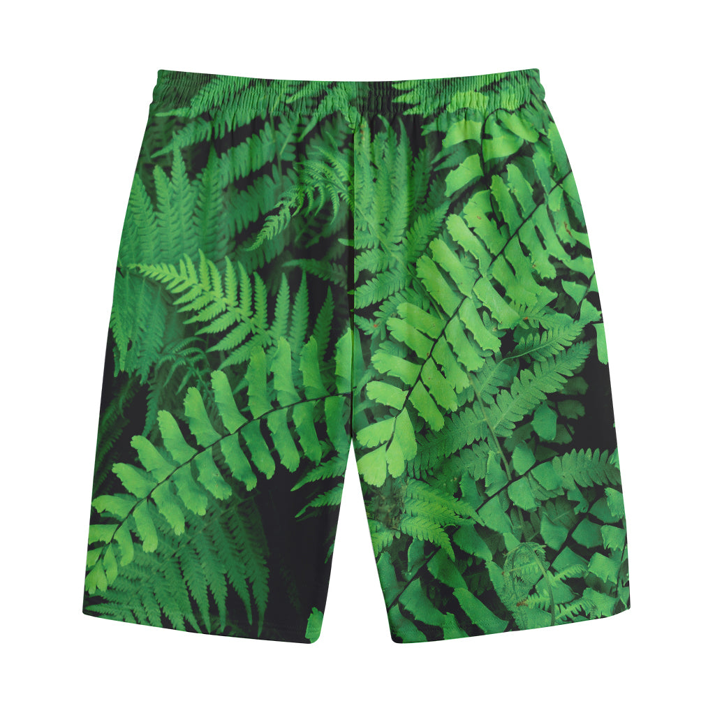 Green Fern Leaf Print Cotton Shorts