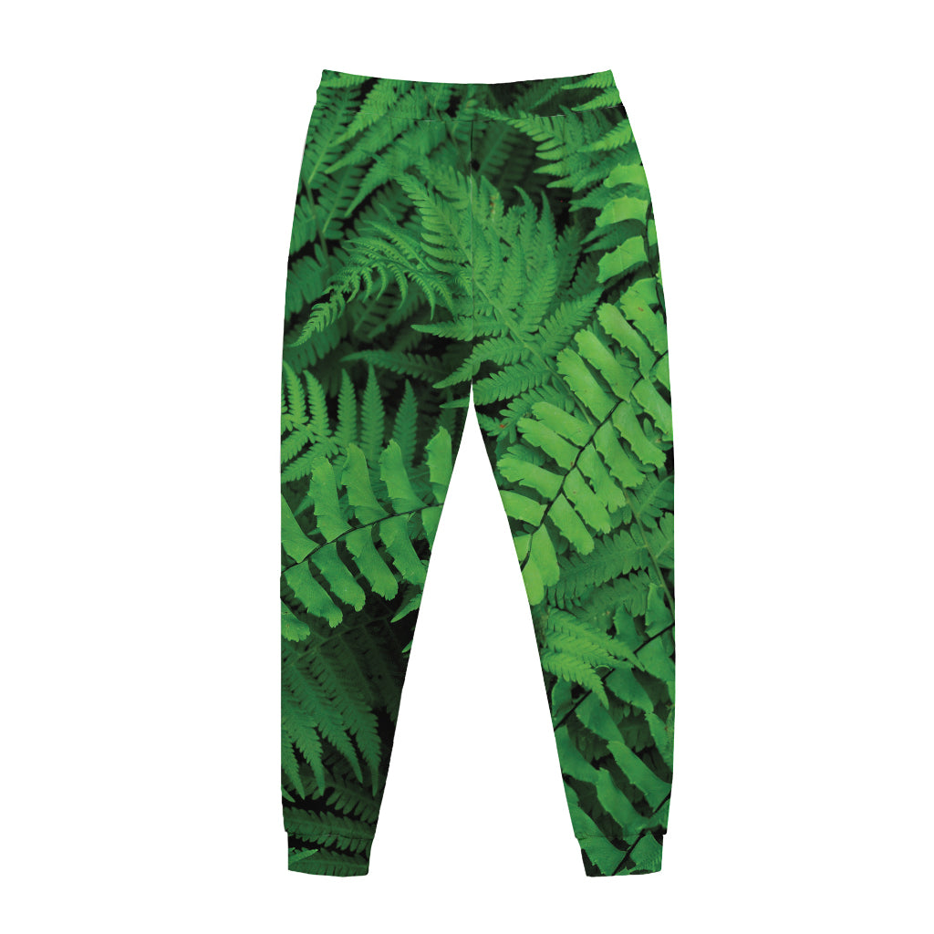 Green Fern Leaf Print Jogger Pants