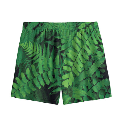 Green Fern Leaf Print Mesh Shorts