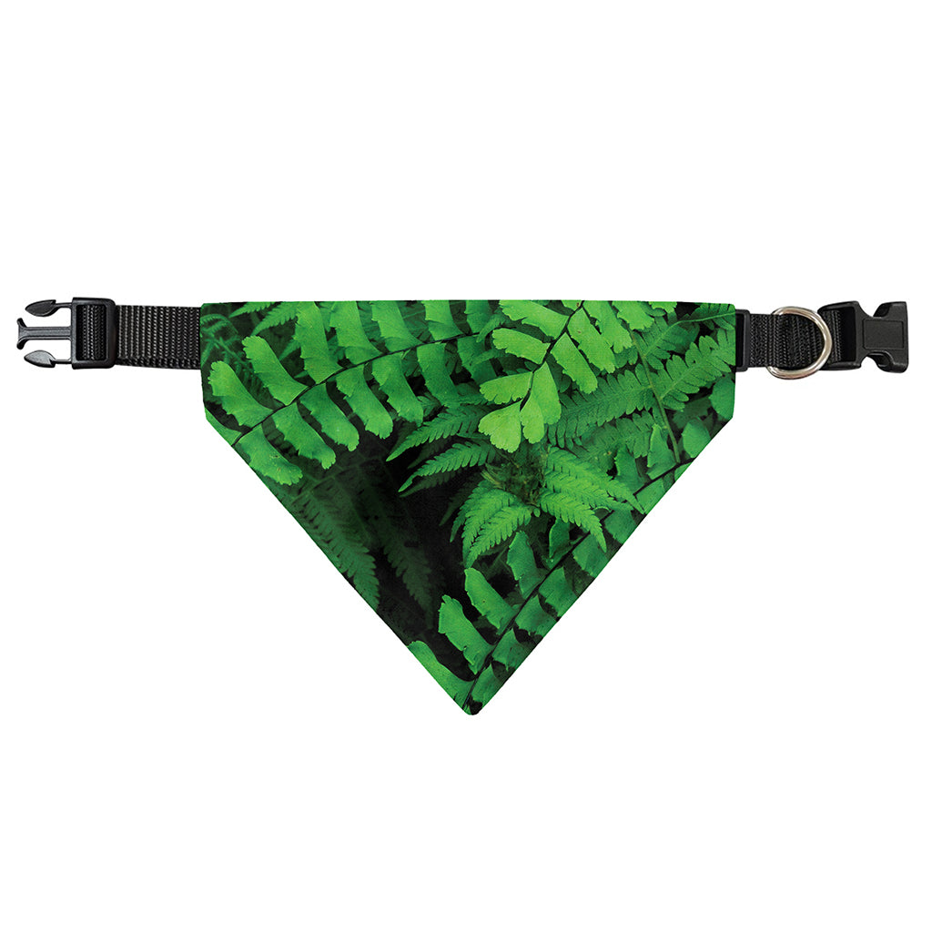 Green Fern Leaf Print Over The Collar Dog Bandana