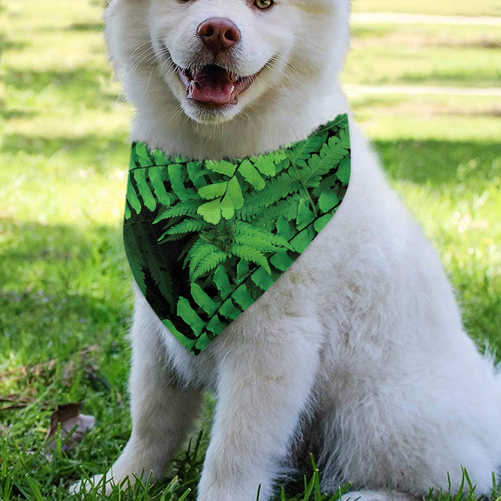 Green Fern Leaf Print Over The Collar Dog Bandana