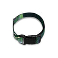 Green Fractal Print Dog Collar
