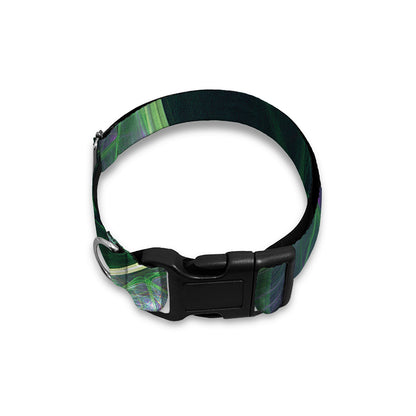Green Fractal Print Dog Collar