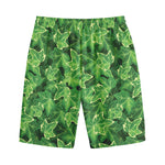 Green Ivy Leaf Pattern Print Cotton Shorts