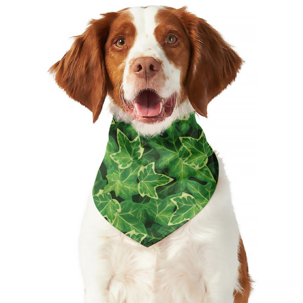 Green Ivy Leaf Pattern Print Dog Bandana