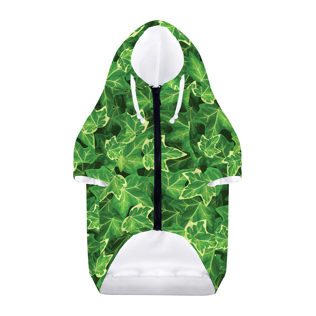 Green Ivy Leaf Pattern Print Dog Zip Up Hoodie