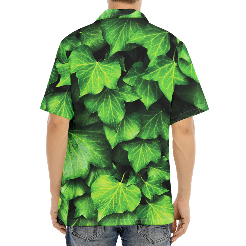 Green Ivy Leaf Print Aloha Shirt