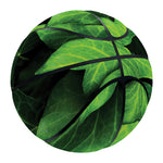 Green Ivy Leaf Print Basketball