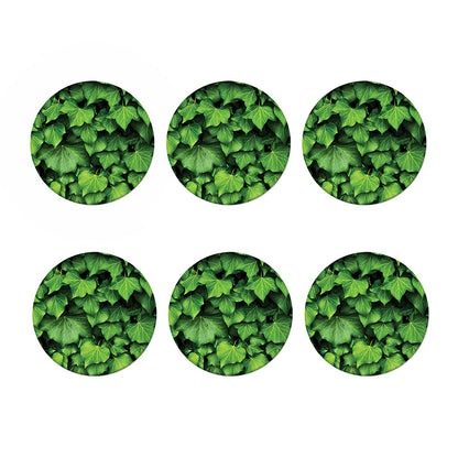 Green Ivy Leaf Print Coaster Set