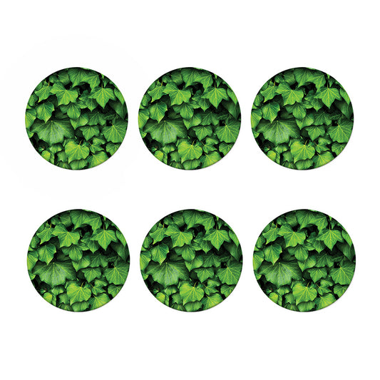 Green Ivy Leaf Print Coaster Set