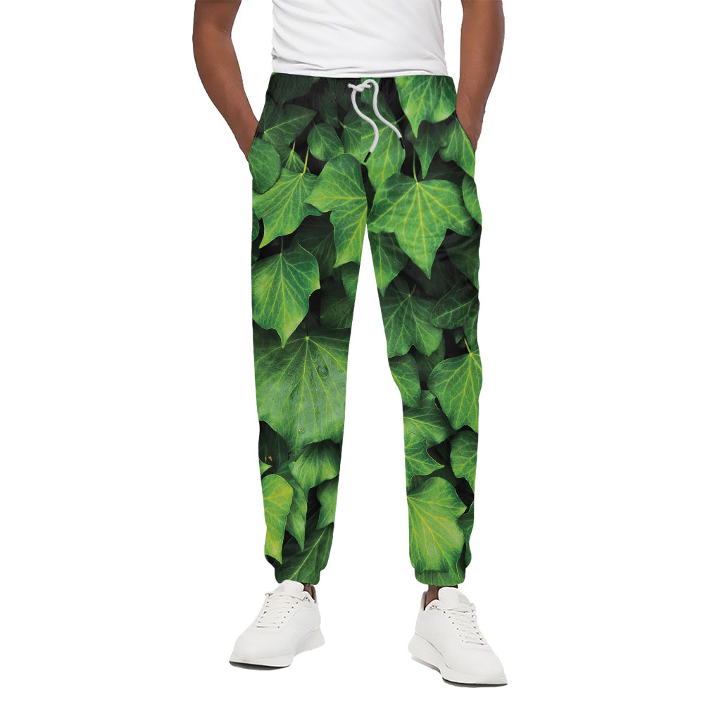 Green Ivy Leaf Print Cotton Pants