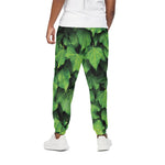 Green Ivy Leaf Print Cotton Pants