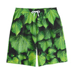 Green Ivy Leaf Print Cotton Shorts
