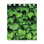 Green Ivy Leaf Print Curtain