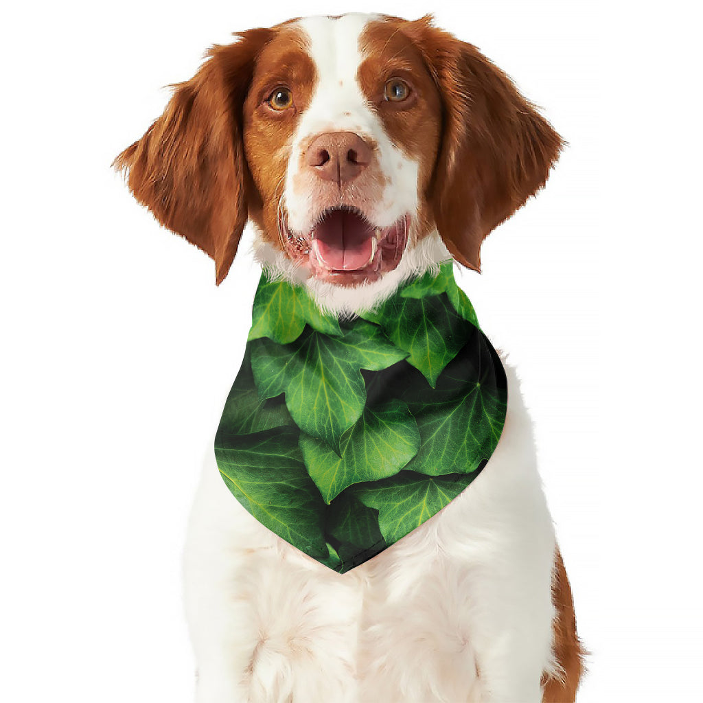 Green Ivy Leaf Print Dog Bandana