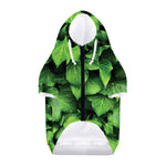 Green Ivy Leaf Print Dog Zip Up Hoodie