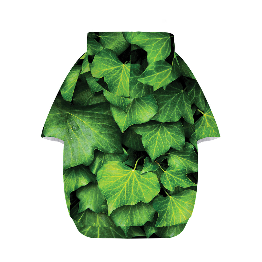 Green Ivy Leaf Print Dog Zip Up Hoodie