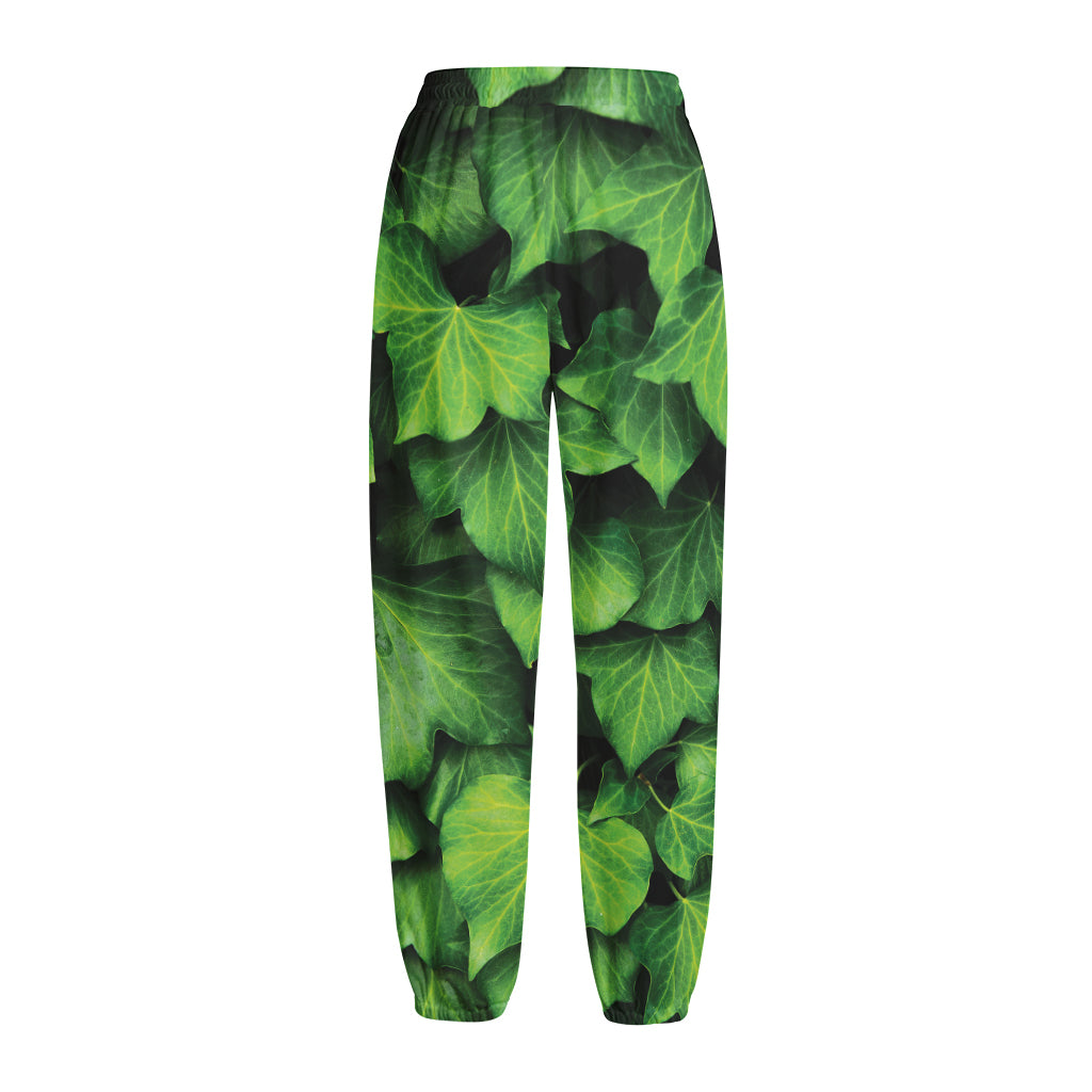 Green Ivy Leaf Print Fleece Lined Knit Pants