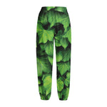 Green Ivy Leaf Print Fleece Lined Knit Pants