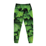 Green Ivy Leaf Print Jogger Pants