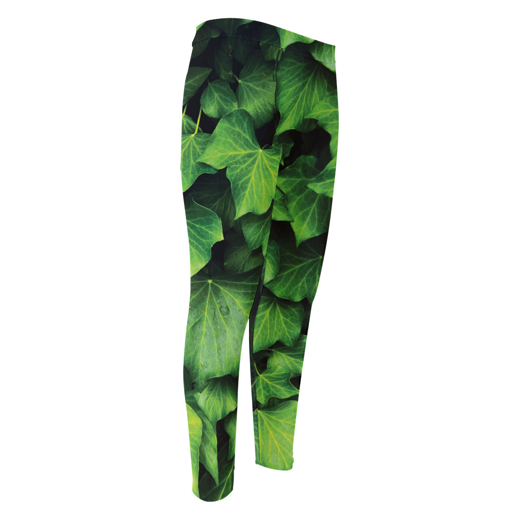 Green Ivy Leaf Print Men's Compression Pants